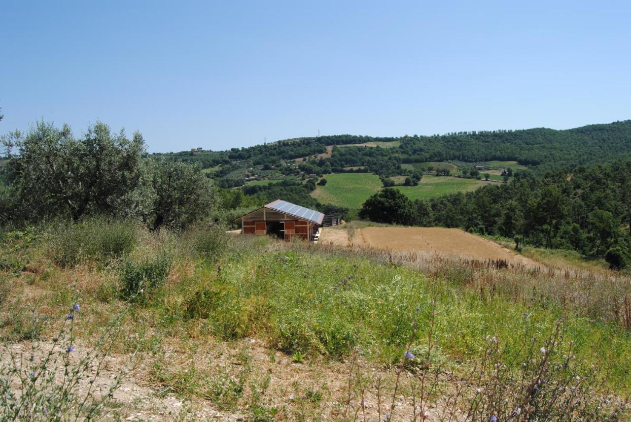 Alojamento de Turismo Rural Sorelle Biologiche