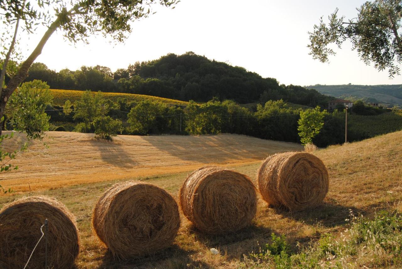 Alojamento de Turismo Rural Sorelle Biologiche Monte Castello di Vibio