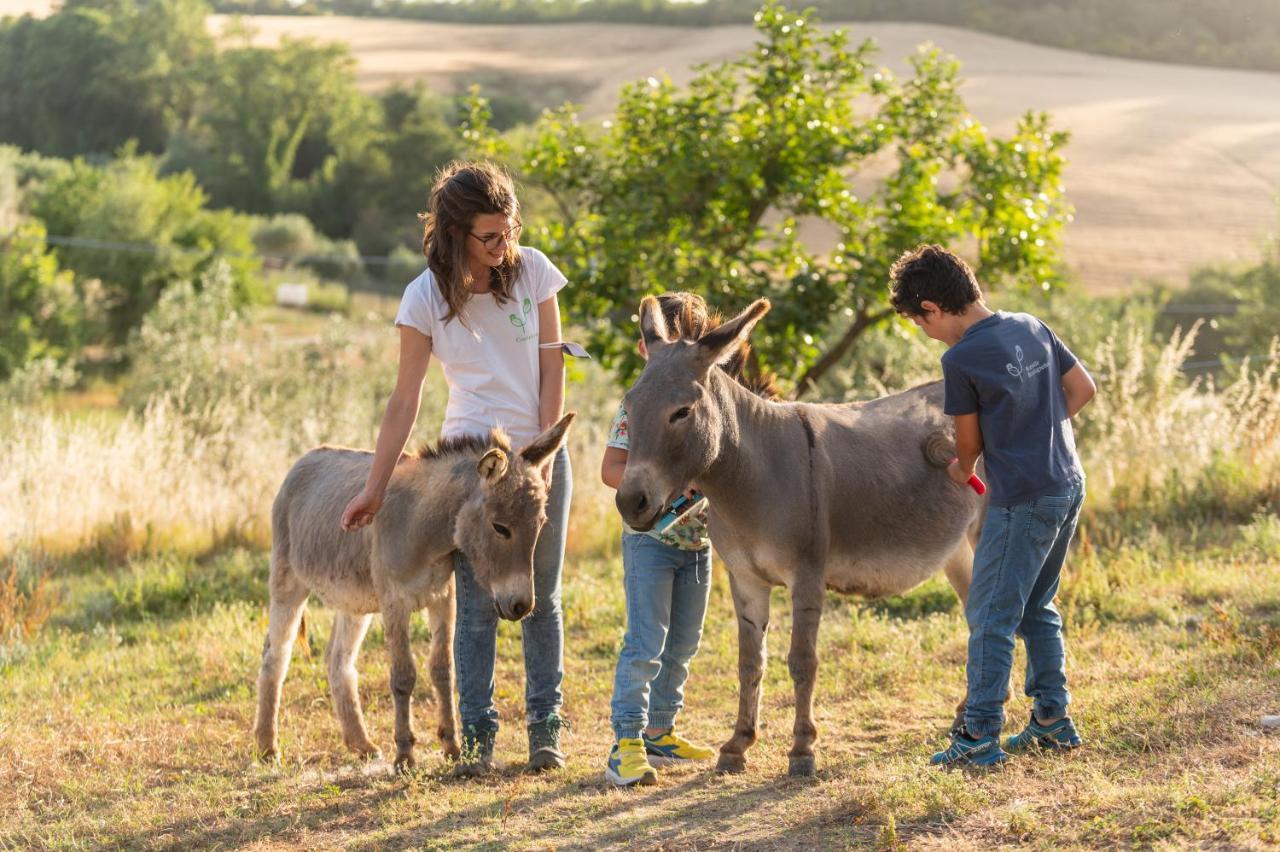 Alojamento de Turismo Rural Sorelle Biologiche